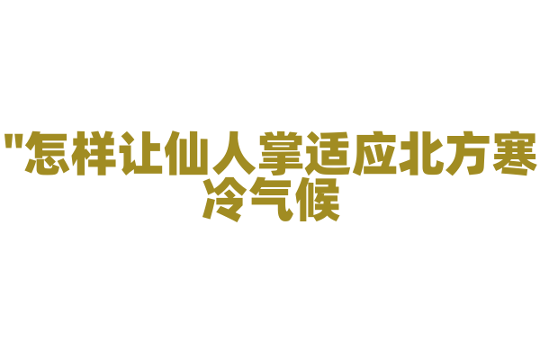"怎样让仙人掌适应北方寒冷气候？"